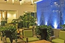 Mayan Sea Garden נובו ואלארטה מראה חיצוני תמונה